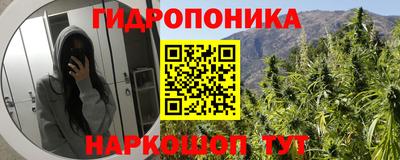мдма Бердск