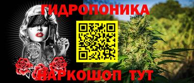 стафф Белореченск